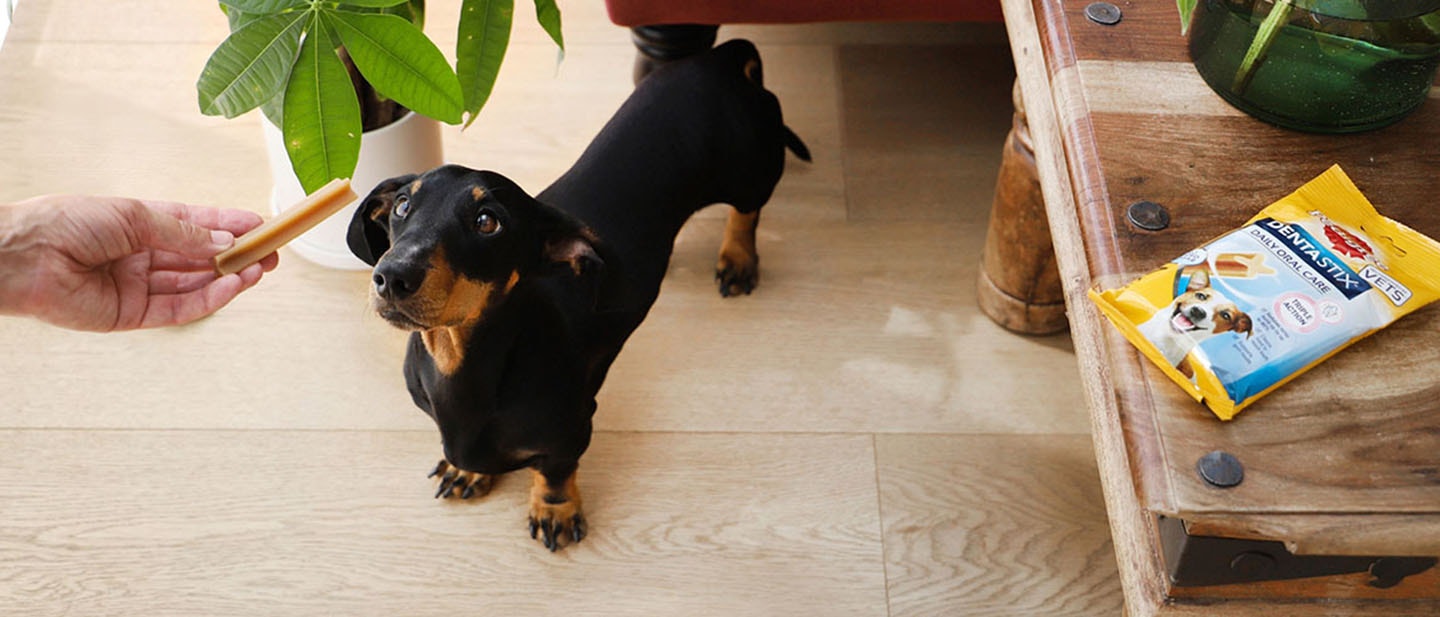 Higiene oral: Prevención de la enfermedad de las encías y problemas graves