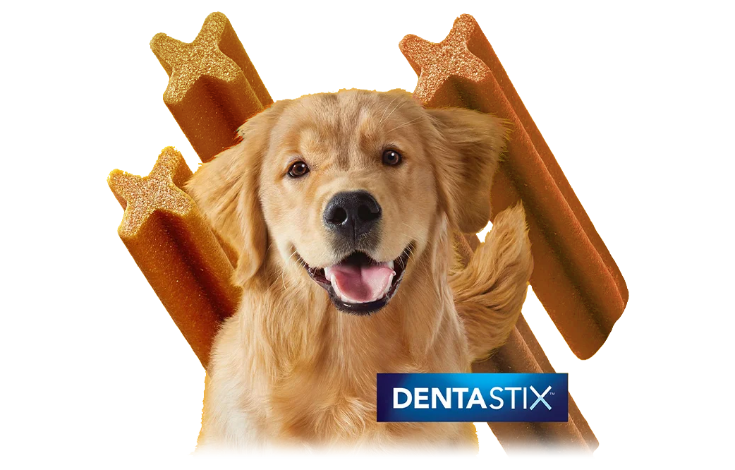 Snacks dentales para perros DENTASTIX™