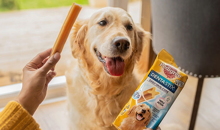 Snacks dentales para perros DENTASTIX™