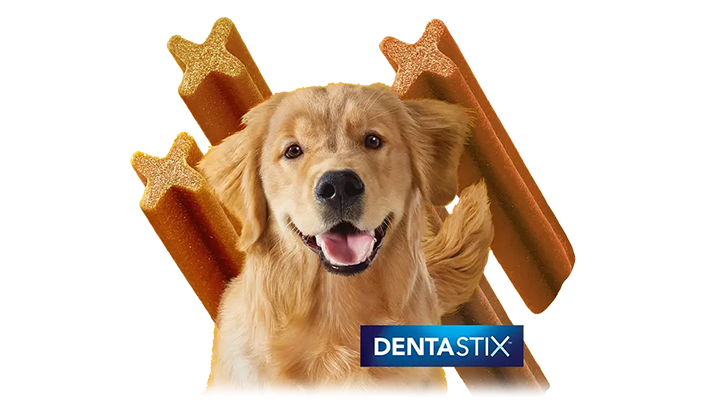 dentastix