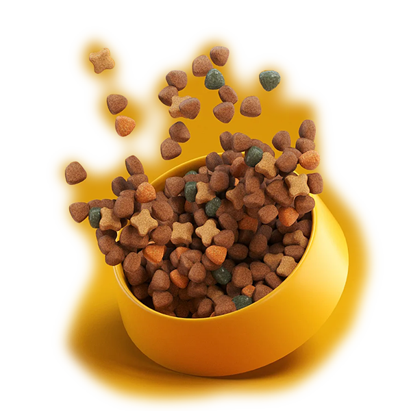 Nutrición de calidad para perros